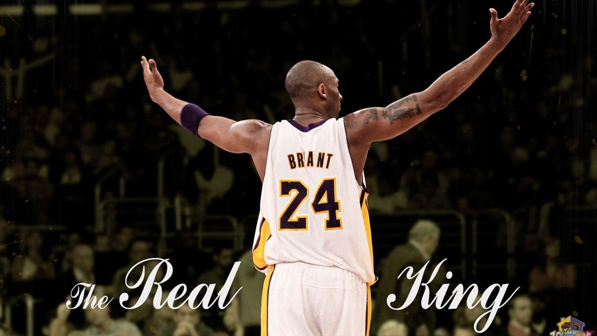 全场满勤球员体能管理方式揭秘