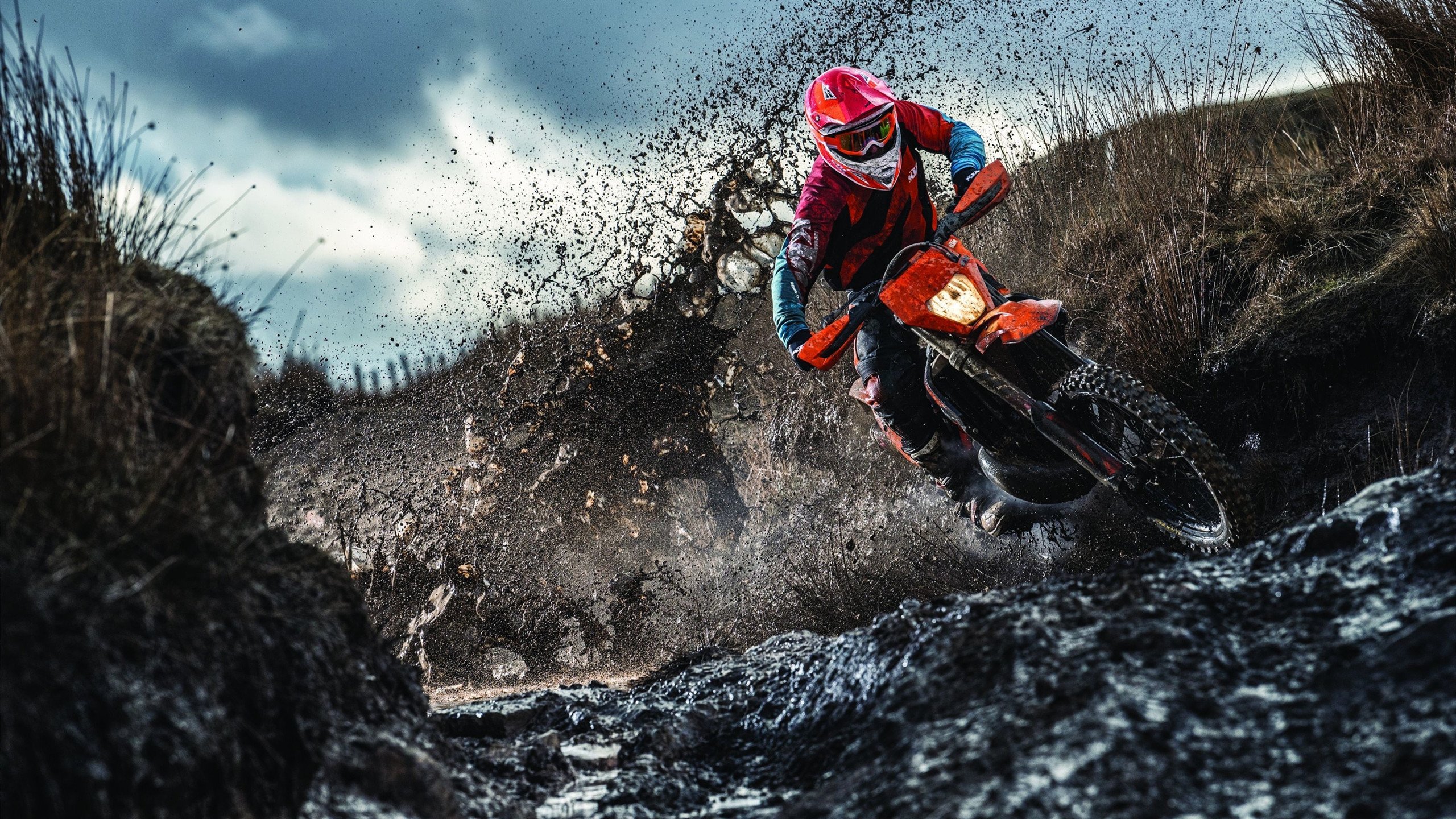 数据显示：中国蝶泳后程反超更频繁，中国蝶泳最好成绩